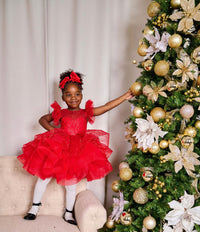 Baby Girl Puffy Shimmery Princess Red Party Dress