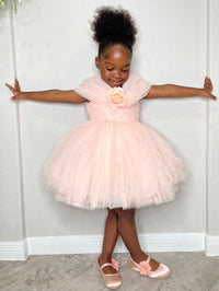 Baby Girl Pink Princess Birthday Party Dress Toddler Girl Party Dress