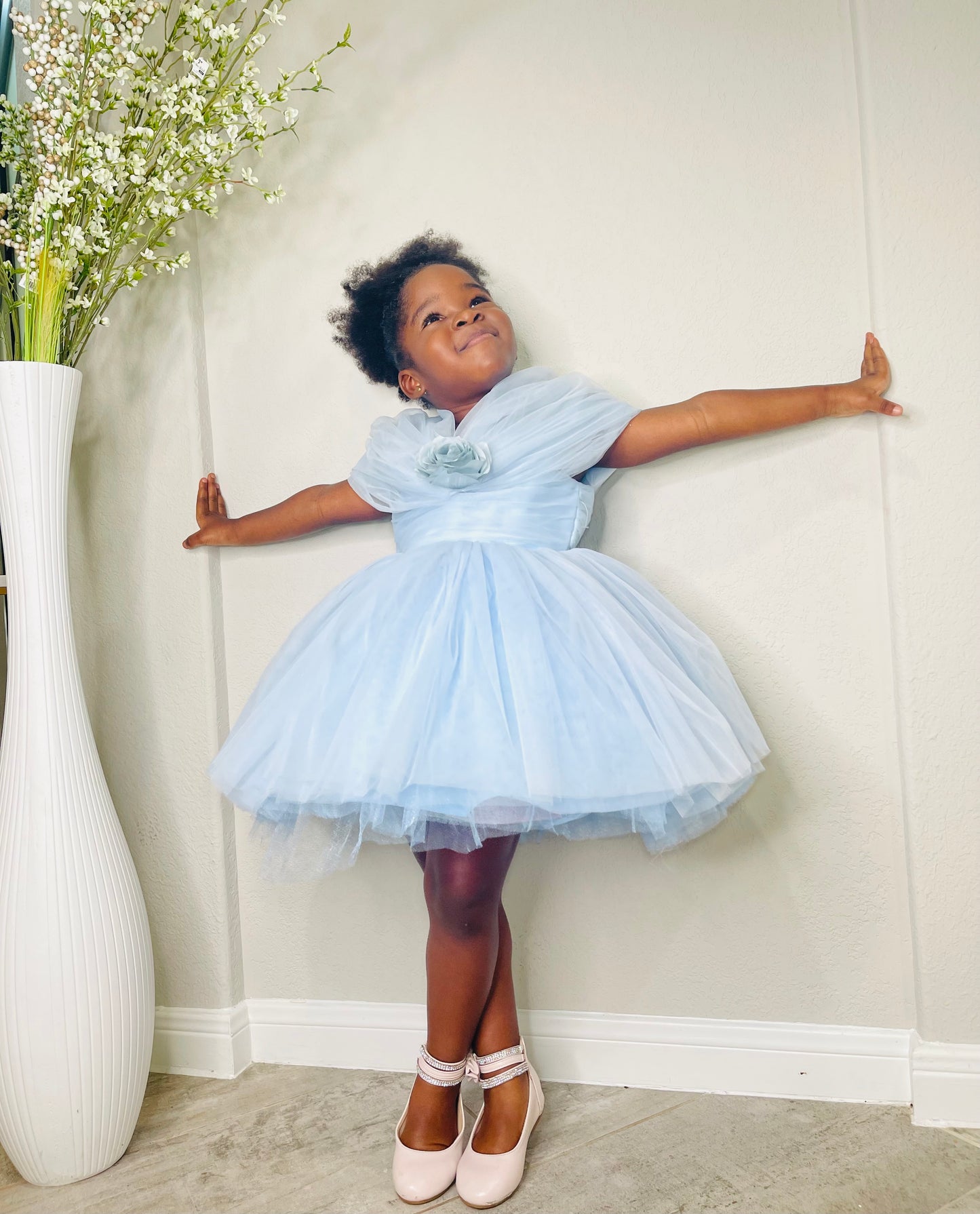 Baby Girl Blue Princess Birthday Party Dress Toddler Girl Party Dress