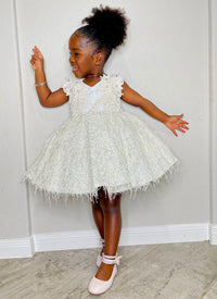 Baby Girl Silver Princess Shimmery Toddler Birthday Party Dress