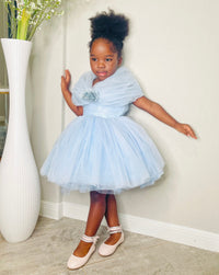 Baby Girl Blue Princess Birthday Party Dress Toddler Girl Party Dress