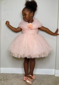 Baby Girl Pink Princess Birthday Party Dress Toddler Girl Party Dress