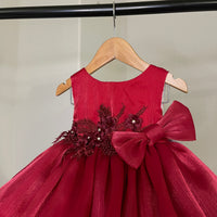 Baby Girl Red Christmas Girl Party Dress