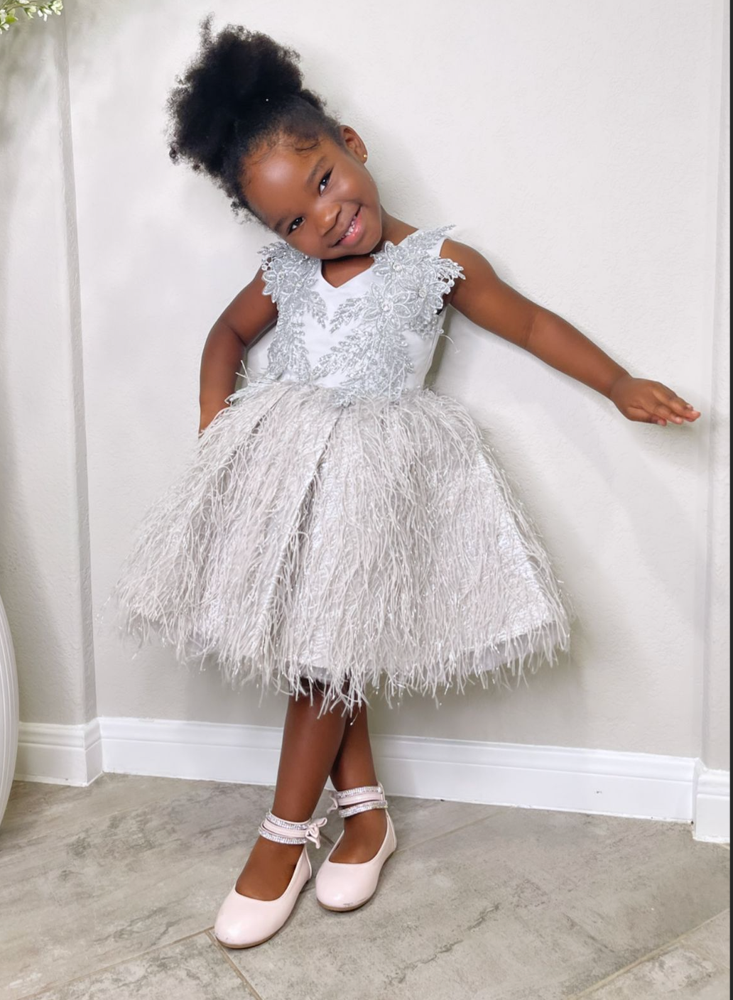 Baby Girl Gray Princess Shimmery Toddler Birthday Party Dress